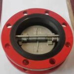dual plate check valve
