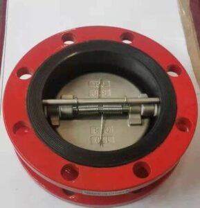 dual plate check valve