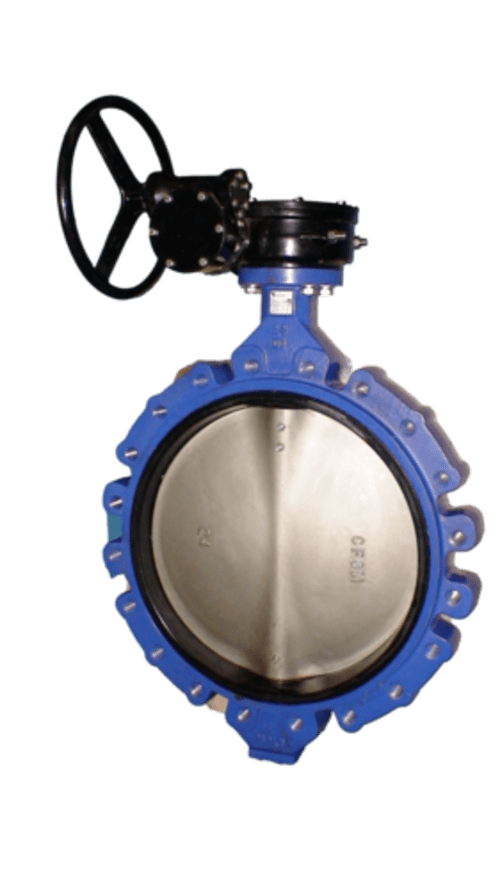 lug butterfly valve