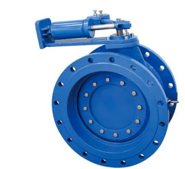 disc check valve