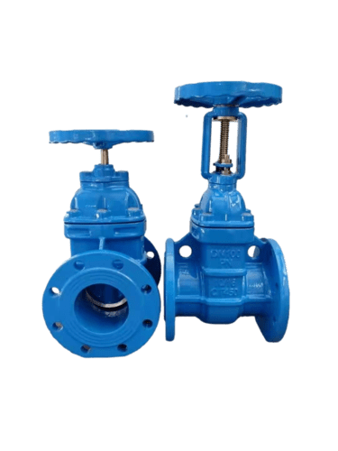 gate valve 1