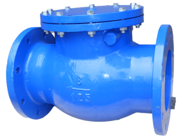 swing check valve