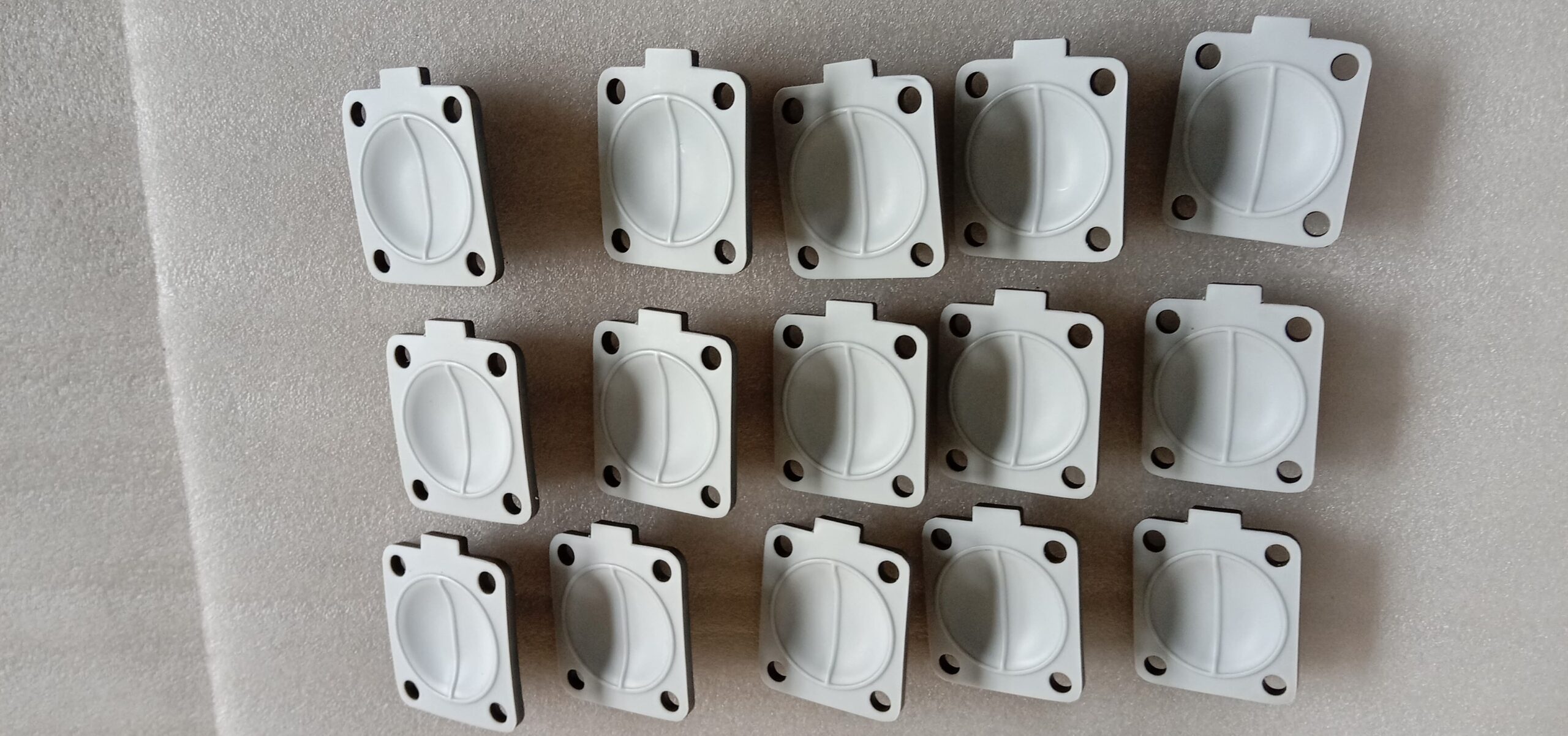 A close-up of an EPDM and a PTFE diaphragm side-by-side