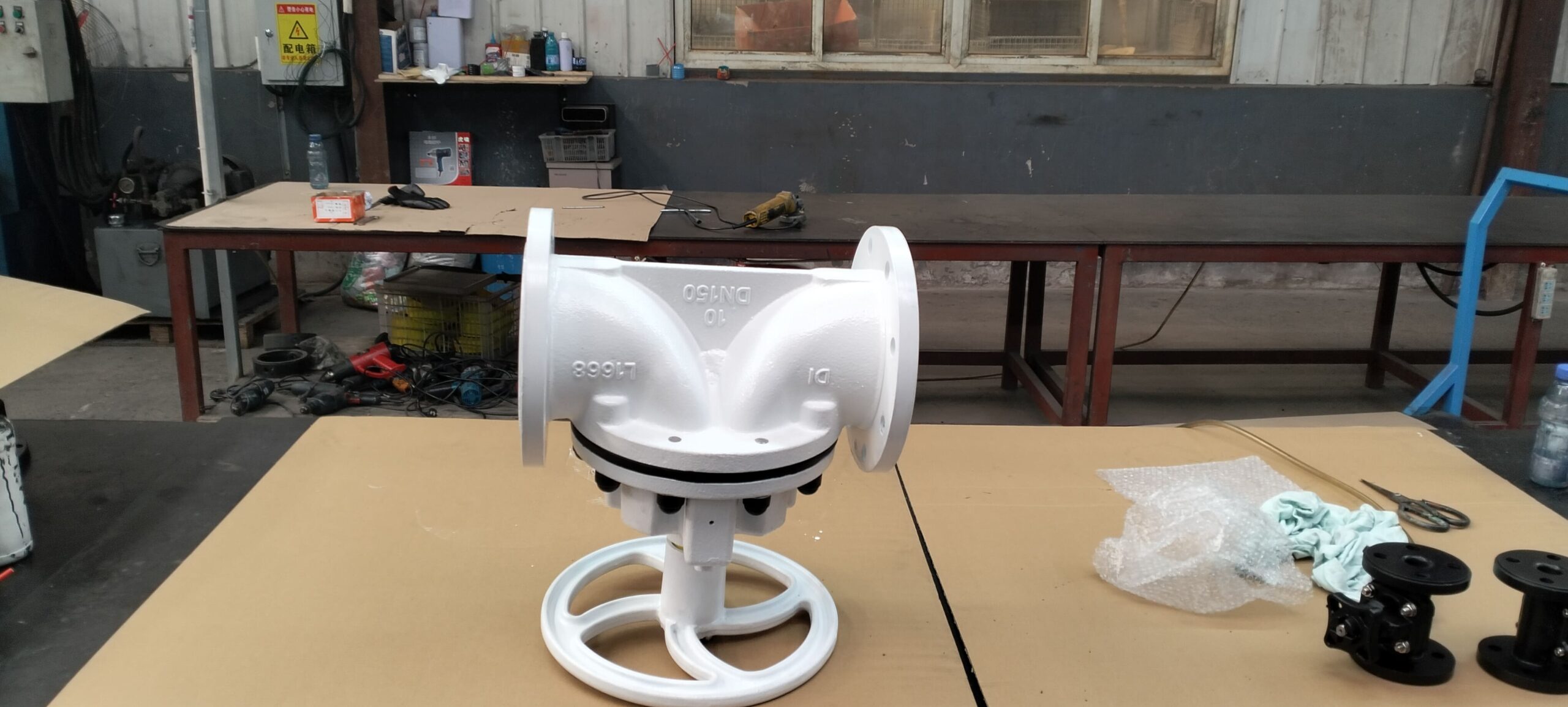 Diagram showing the isolated mechanism of a diaphragm valve