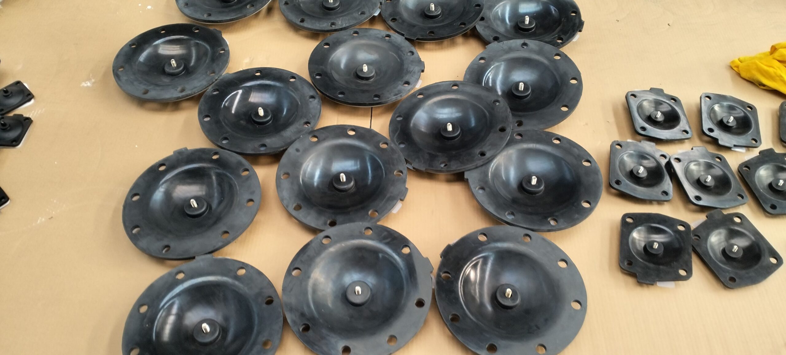 Diaphragm Valve in Pharmaceutical Plant