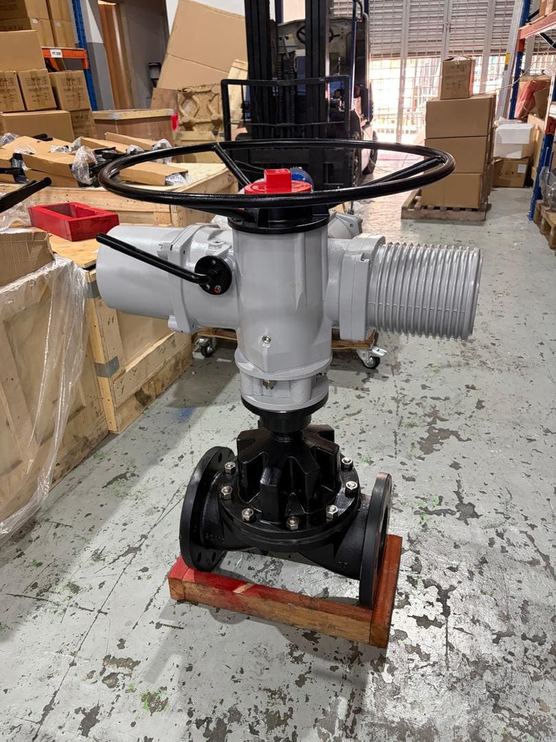 Are FKM Diaphragms Right for High-Temperature and Oily Media?