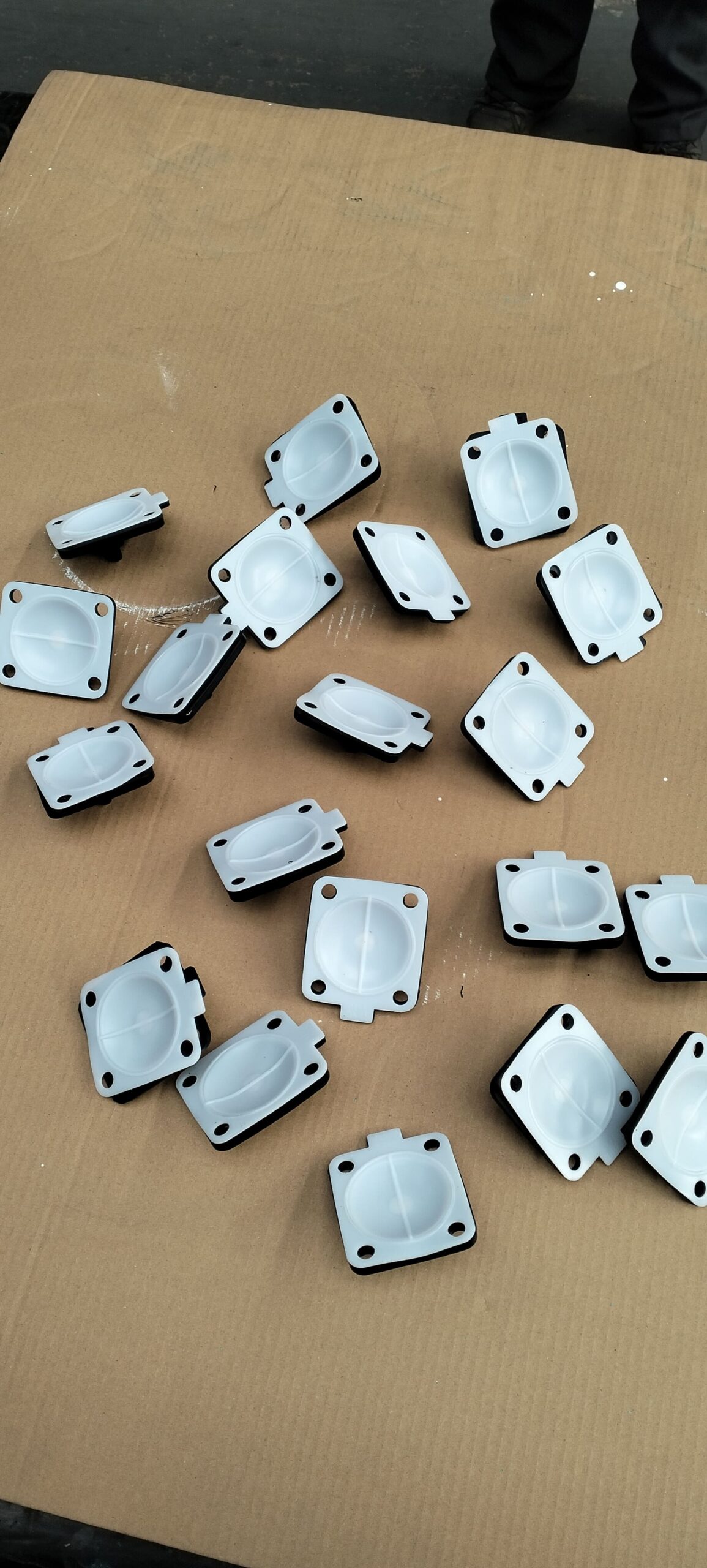 PTFE diaphragm in a valve