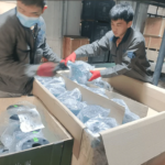 How to Select the Right Diaphragm Material for Corrosive Service?